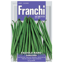 French Bean Vanguard Dwarf Seeds