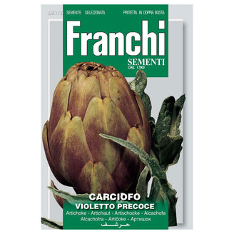 Artichoke Violetto Seeds