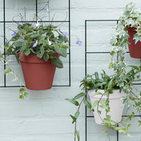 Urban Display Single Wall Pots