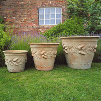 Oak leaf Planters