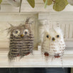 Festive Owl Duo Tweet and Twoo Decoration Set