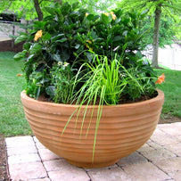 Thames Bowl Planter