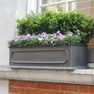 Stuart Window Box