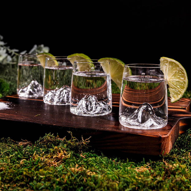 Topographic Mountain Shot Glasses Set of 4