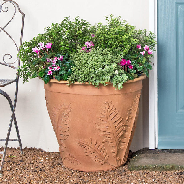 Fern Planters