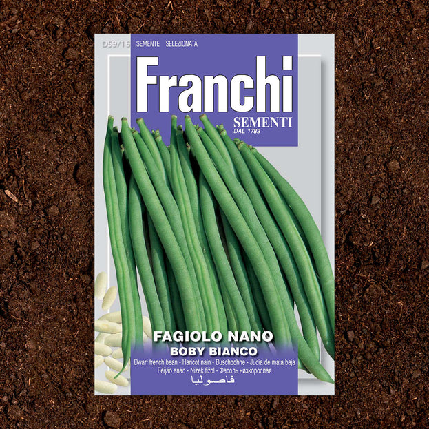 French Bean Dwarf Boby Bianco Seeds