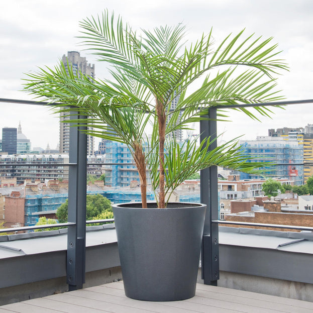 Geo Round Planters