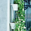 Drainpipe Planter