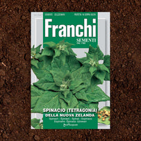 Spinach Tetragonia New Zeland Seeds