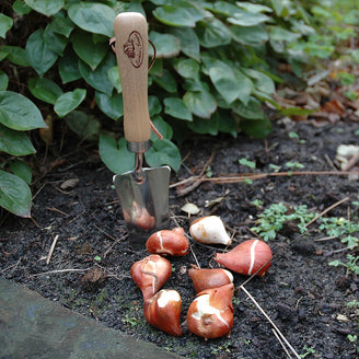 Traditional Garden Trowel