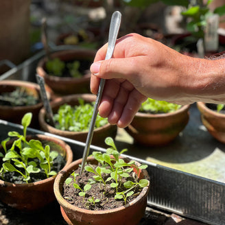 Sneeboer Seedling Pricker