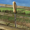 Asparagus Knife (4646492340284)