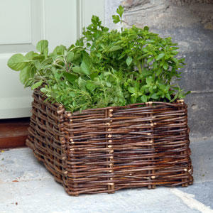 Wicker Planters (4646493585468)