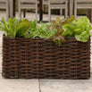 Wicker Planters (4646493585468)