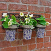 Wall Holder with 3 Ceramic Pots (4646475825212)