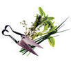 Herb Snips (4646496469052)