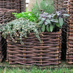 Wicker Planters (4646493585468)