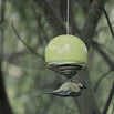 Birdball Belle (4646514262076)