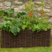 Wicker Planters (4646493585468)