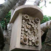 Beneficial Insect Box (4646610108476)