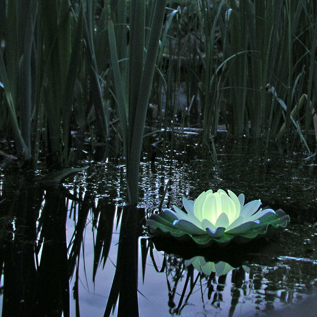 Floating Water Lily Light (4646931234876)