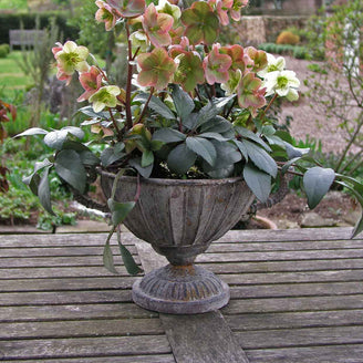 Aged Metal Planter (4646929432636)