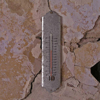 Zinc Thermometer (4647704723516)