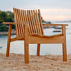 Amaze Lounge Chair (4648712011836)