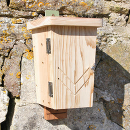 Bat Box - Double Chamber