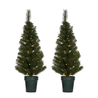 Front Door LED Christmas Trees (4649116926012)