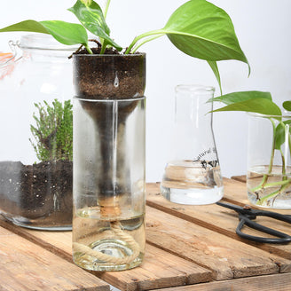 Self Watering Wine Bottle Planter (6654799872060)