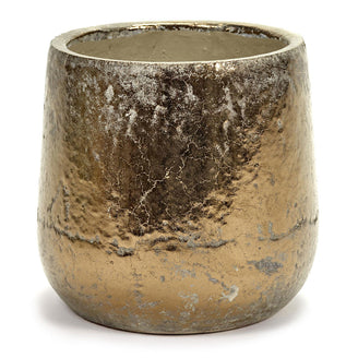 Divine Gold Indoor Plant Pots (4650075815996)