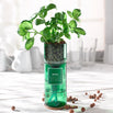 Hydro-Herb Growing Kits (6811338342460)