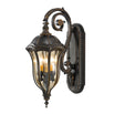 Baton Rouge Outdoor Wall Lanterns (4648680554556)