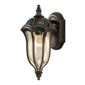 Baton Rouge Outdoor Wall Lanterns (4648680554556)