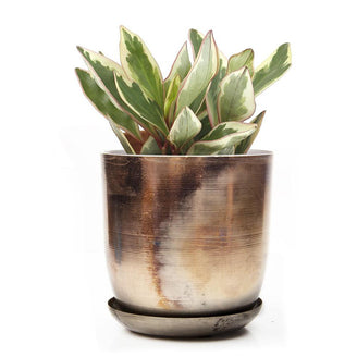 Lustre Planter with Saucer (6670641954876)