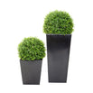 Faux Boxwood Ball (4649554116668)