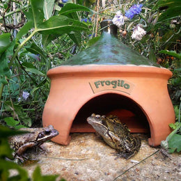 Frogilo Frog House