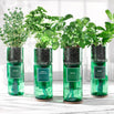 Hydro-Herb Growing Kits (6811338342460)