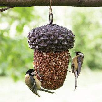 Acorn Bird Feeder (4650114940988)