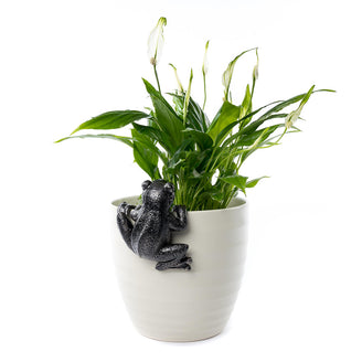 Froggy Plant Pot Decoration (6669787791420)