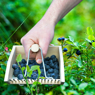 Wooden Berry Picker (6647764123708)