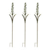 Foxtail Lily - Set of 3 Stems (6647113547836)