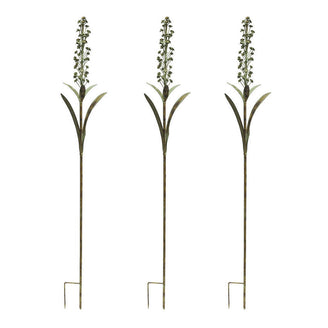 Foxtail Lily - Set of 3 Stems (6647113547836)