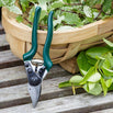 Professional Compact Bypass Secateurs (4696001347644)