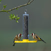 Goldfinch Finder Feeder (4647945240636)