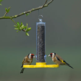 Goldfinch Finder Feeder