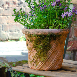 Harlequin Natural Clay Plant Pot (7137539817532)