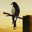 Metalbird Harris Hawk Silhouette (6594766471228)