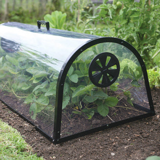 Kitchen Garden Cloche (4650111336508)